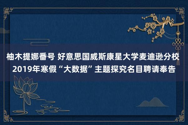 柚木提娜番号 好意思国威斯康星大学麦迪逊分校 2019年寒假“大数据”主题探究名目聘请奉告