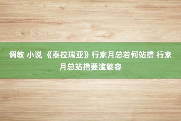 调教 小说 《泰拉瑞亚》行家月总若何站撸 行家月总站撸要滥觞容