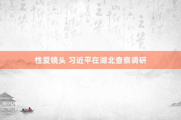 性爱镜头 习近平在湖北查察调研