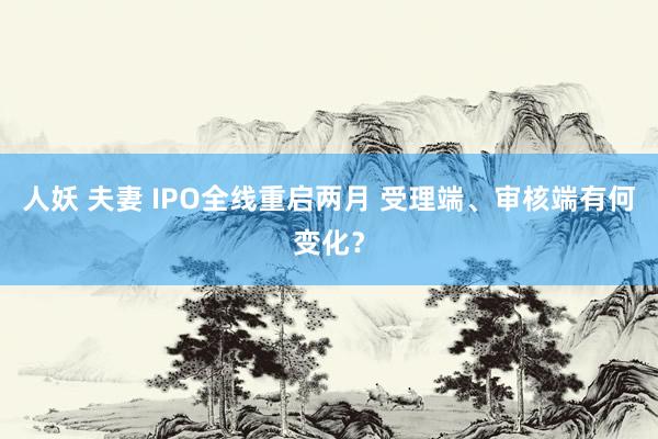 人妖 夫妻 IPO全线重启两月 受理端、审核端有何变化？