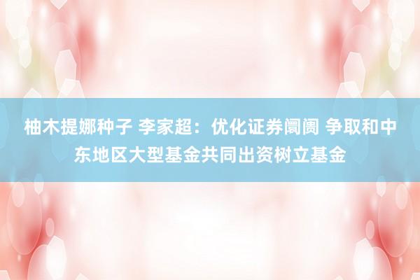 柚木提娜种子 李家超：优化证券阛阓 争取和中东地区大型基金共同出资树立基金