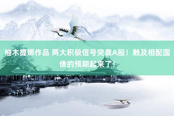 柚木提娜作品 两大积极信号突袭A股！触及相配国债的预期起来了！