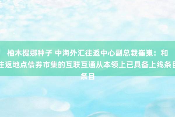 柚木提娜种子 中海外汇往返中心副总裁崔嵬：和往返地点债券市集的互联互通从本领上已具备上线条目