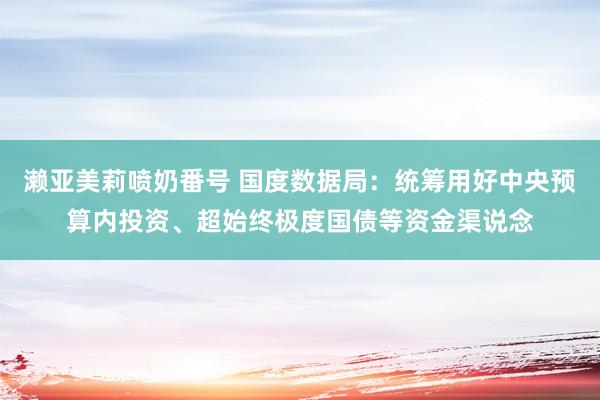 濑亚美莉喷奶番号 国度数据局：统筹用好中央预算内投资、超始终极度国债等资金渠说念
