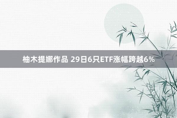 柚木提娜作品 29日6只ETF涨幅跨越6%
