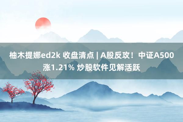柚木提娜ed2k 收盘清点 | A股反攻！中证A500涨1.21% 炒股软件见解活跃