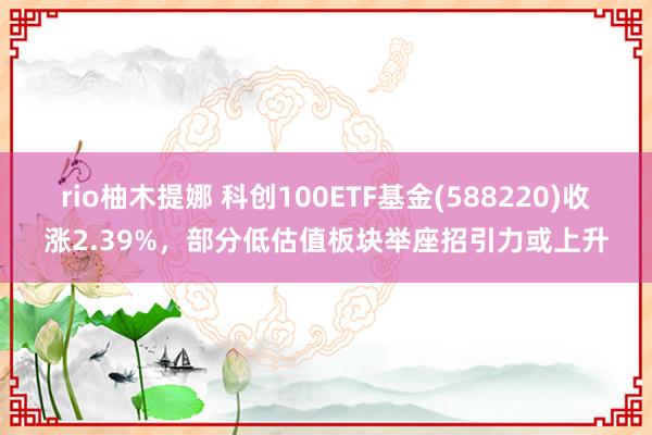rio柚木提娜 科创100ETF基金(588220)收涨2.39%，部分低估值板块举座招引力或上升