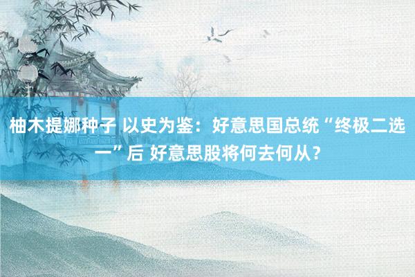 柚木提娜种子 以史为鉴：好意思国总统“终极二选一”后 好意思股将何去何从？