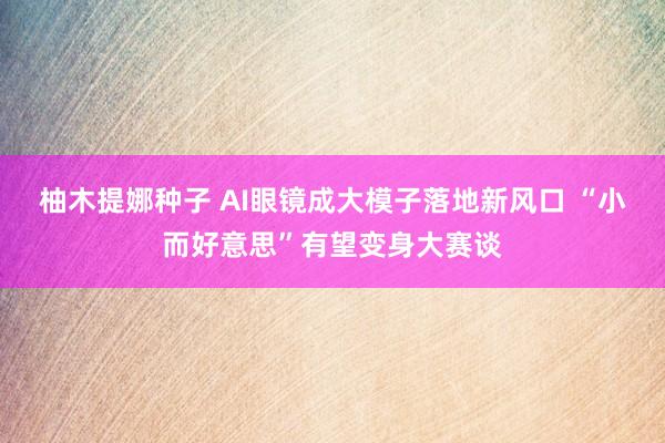 柚木提娜种子 AI眼镜成大模子落地新风口 “小而好意思”有望变身大赛谈