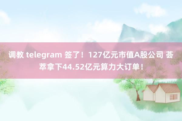 调教 telegram 签了！127亿元市值A股公司 荟萃拿下44.52亿元算力大订单！