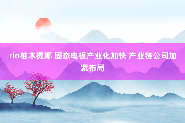 rio柚木提娜 固态电板产业化加快 产业链公司加紧布局
