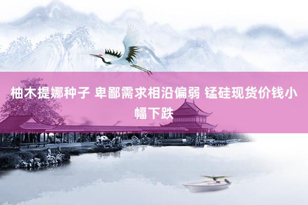 柚木提娜种子 卑鄙需求相沿偏弱 锰硅现货价钱小幅下跌