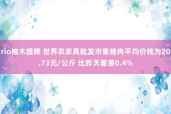 rio柚木提娜 世界农家具批发市集猪肉平均价钱为20.73元/公斤 比昨天着落0.4%
