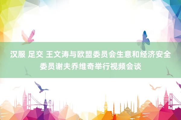 汉服 足交 王文涛与欧盟委员会生意和经济安全委员谢夫乔维奇举行视频会谈