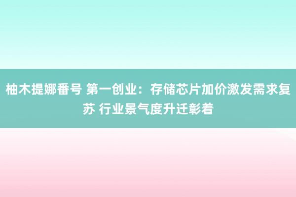 柚木提娜番号 第一创业：存储芯片加价激发需求复苏 行业景气度升迁彰着