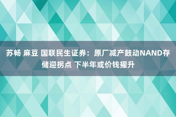 苏畅 麻豆 国联民生证券：原厂减产鼓动NAND存储迎拐点 下半年或价钱擢升